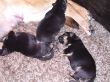 DSCF2813.JPG