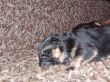 DSCF2821.JPG