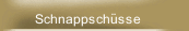 Schnappschüsse