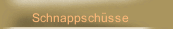 Schnappschüsse